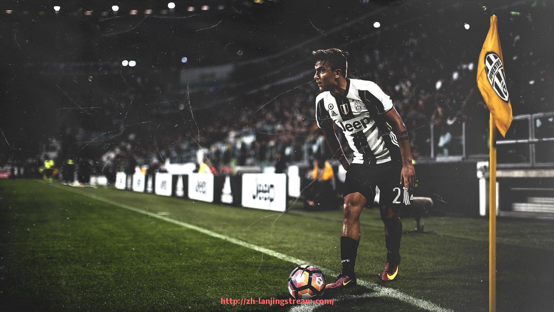 蓝鲸体育直播-世俱杯赛场安全状况报告:安保措施与应急系统详解