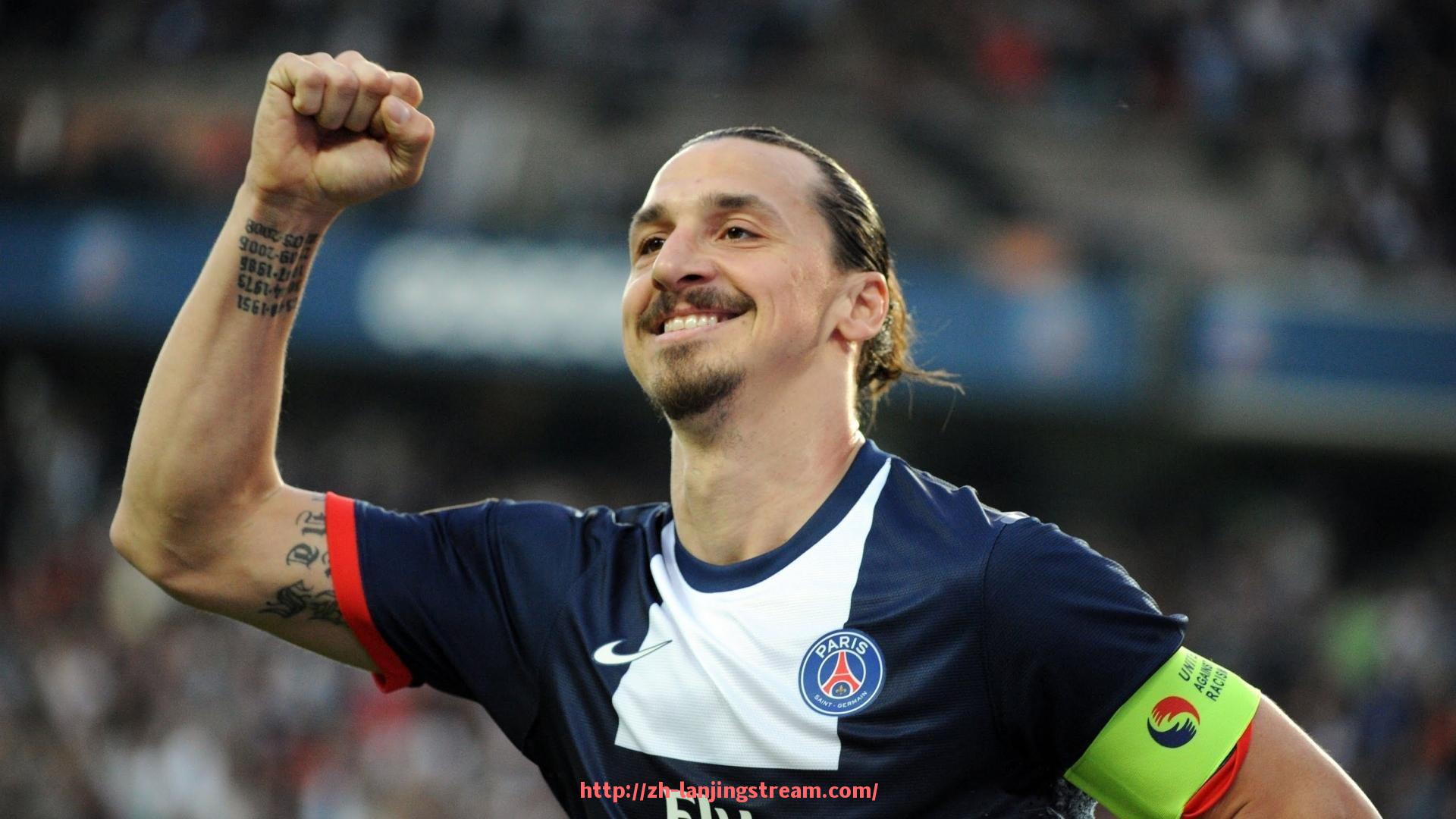 蓝鲸体育直播-世俱杯赞助商市场调研报告及品牌竞争分析